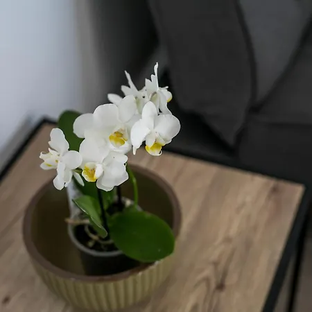 Bless View Apartmanhotel