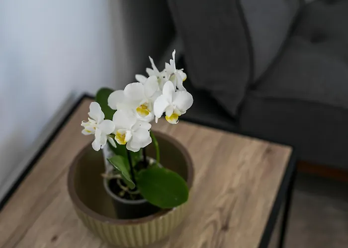 Bless View Apart Otel